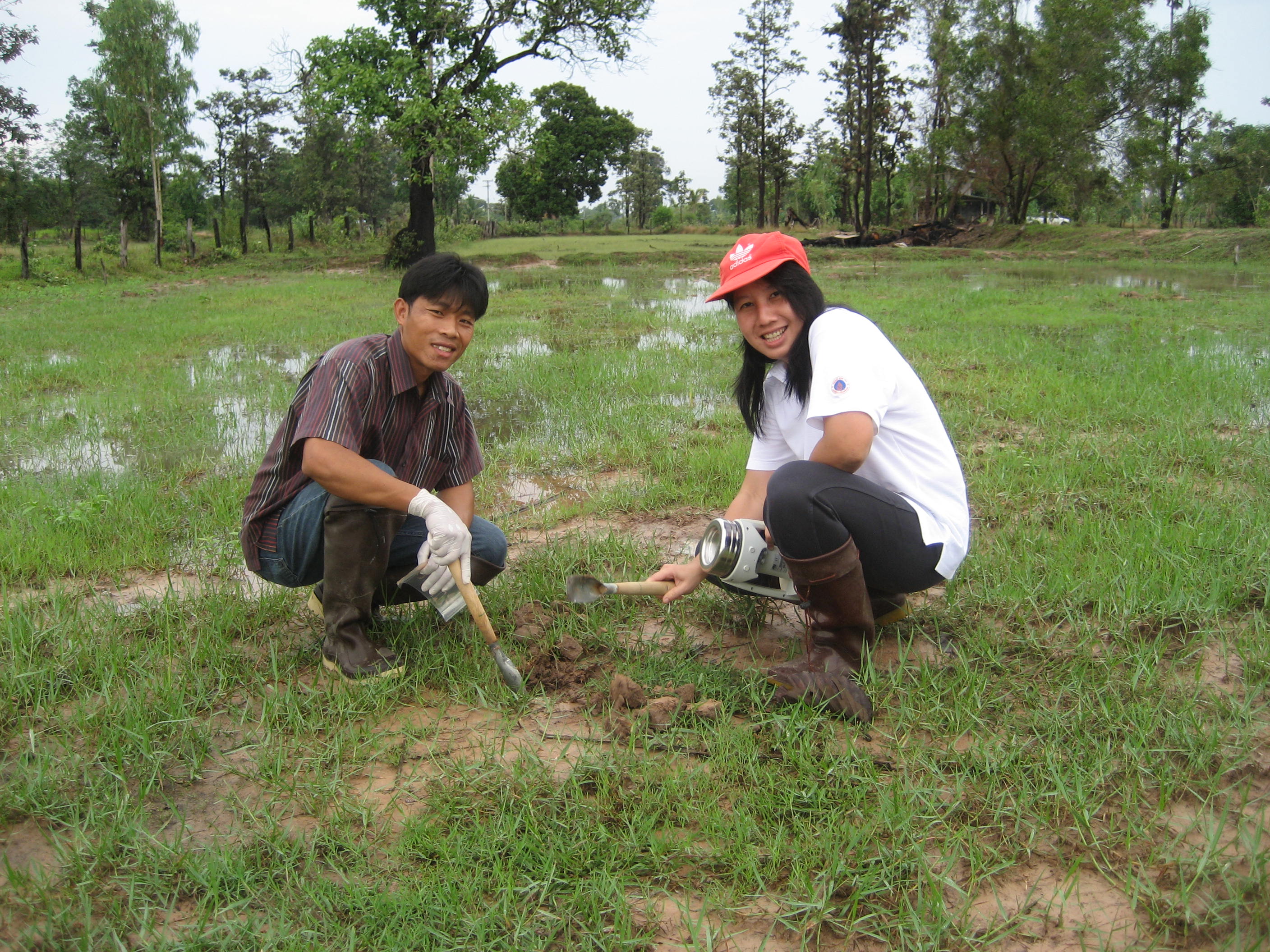 Meliodose Research Field